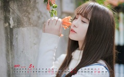 毕加猪120全集高清